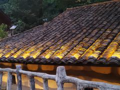 -车溪民俗旅游区