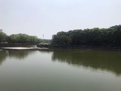 -上海鲜花港