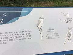 -白鹭湾湿地公园