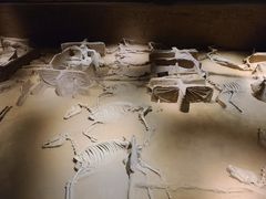 -洛阳周王城天子驾六博物馆