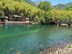 -祁门牯牛降观音堂风景区