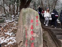 -紫金山山顶公园