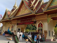 -西双版纳勐泐文化旅游区