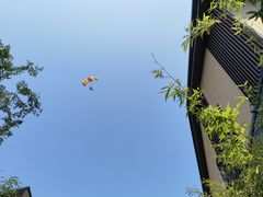 -天目湖涵田度假村