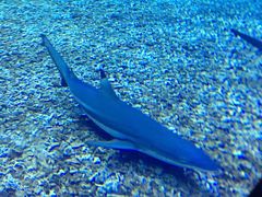 -多彩贵州城极地海洋世界