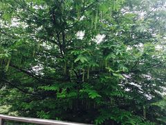-九里河湿地公园