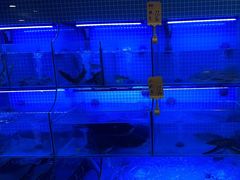 -有藕有鱼·湖北菜(唐家墩店)