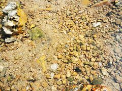 -青岛第三海水浴场