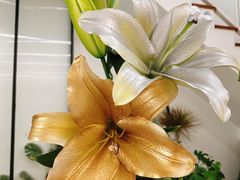 -森野花艺培训·企业团建活动沙龙