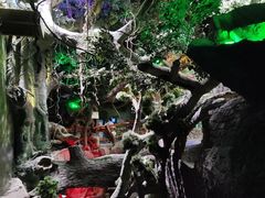 -多彩贵州城极地海洋世界