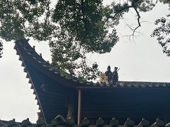 -阿育王寺