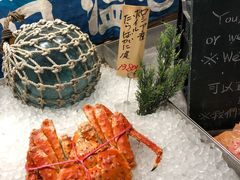 -黑潮市场
