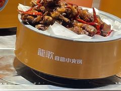 -龍歌自助小火锅(秦淮水游城店)