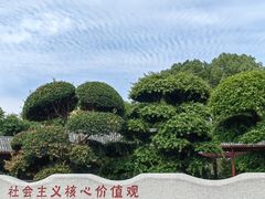 -金银湖国家城市湿地公园
