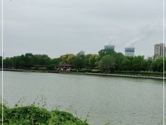 -塘沽森林公园