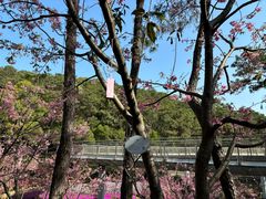 -狐尾山公园