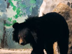 -济南野生动物世界