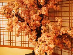 -汤泉良子.足疗按摩.SPA(中关村店)