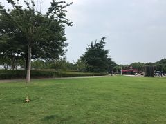 -苏州吴宫泛太平洋酒店