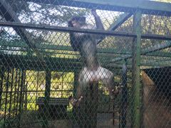 -藏龙百瀑风景区