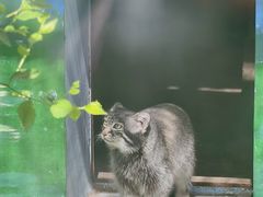 -青藏高原野生动物园