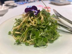 -悦融·京鲁菜·露台花园(安定门店)
