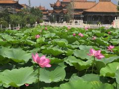 -大悲禅寺