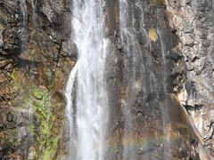 -上海辰山植物园