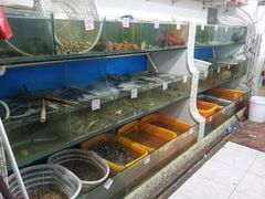 -张树军海鲜(王府壹号店)