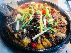 -老板恋上鱼(恒隆广场店)