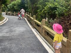 -东澳岛