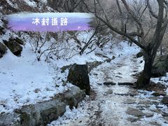 -阳台山自然风景区