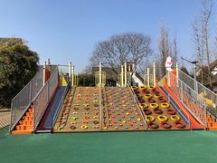 -太阳岛度假酒店
