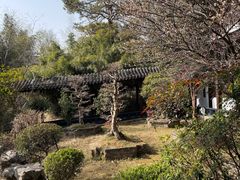 -木子山庄·安徽省老字号·中国炖锅宴