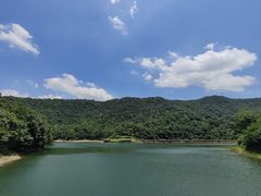 -桃花岭景区