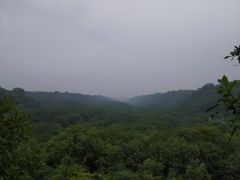 -大青沟风景区
