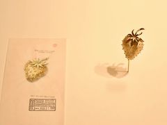 -清华大学艺术博物馆