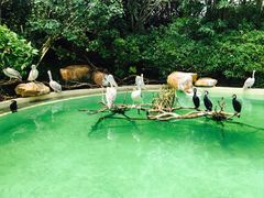 -珠海长隆海洋王国