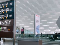 -陈鹏鹏潮汕菜(宝安机场T3航站楼店)