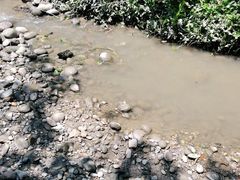 -桤木河湿地公园