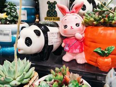 -AEON永旺(东方宝泰店)