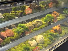 -一朵菌·野生菌探索家火锅(南亚店)