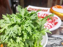 蓬蒿菜-渝味晓宇火锅(合川路店)