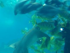 -常州海昌海洋探索馆