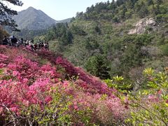 -木兰云雾山