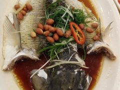 -壹厨饭店(五羊店)