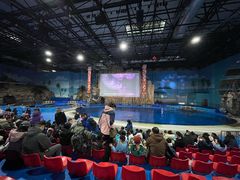 -华夏文旅海洋公园