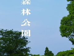 -上海滨江森林公园