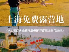 -春花秋色城市公园