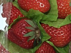 -百果园PAGODA(玄武成贤街店)